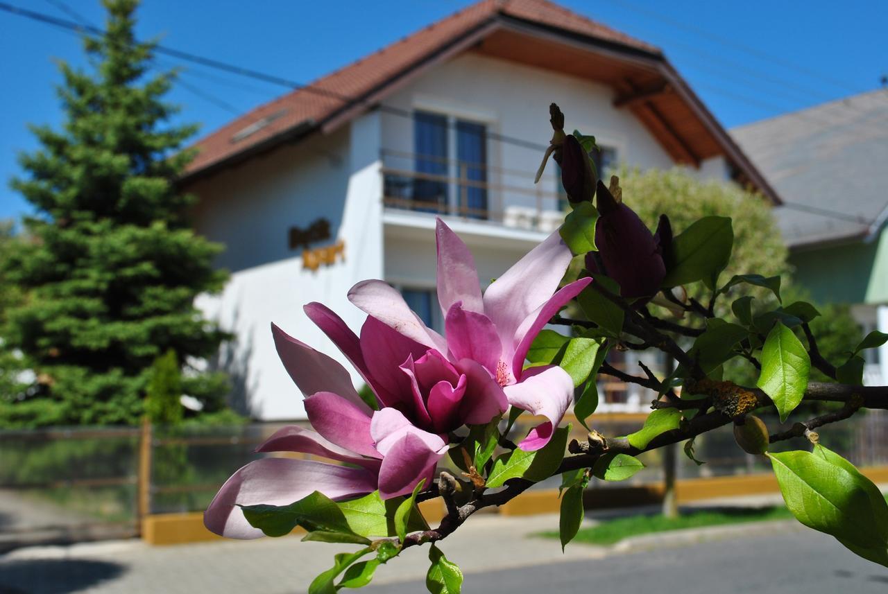 Boutique Apartment "Welcome" Héviz Zewnętrze zdjęcie